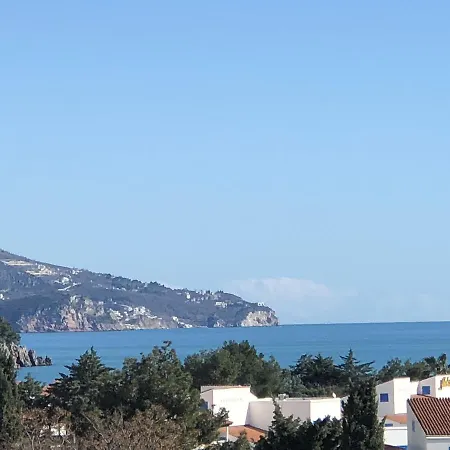 Veselin Budva